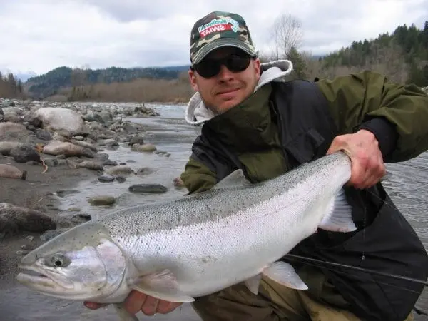 Steelhead Fishing