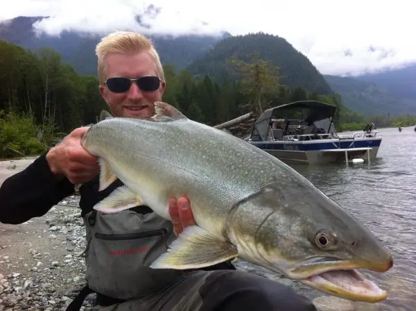 Trout Fly-Fishing