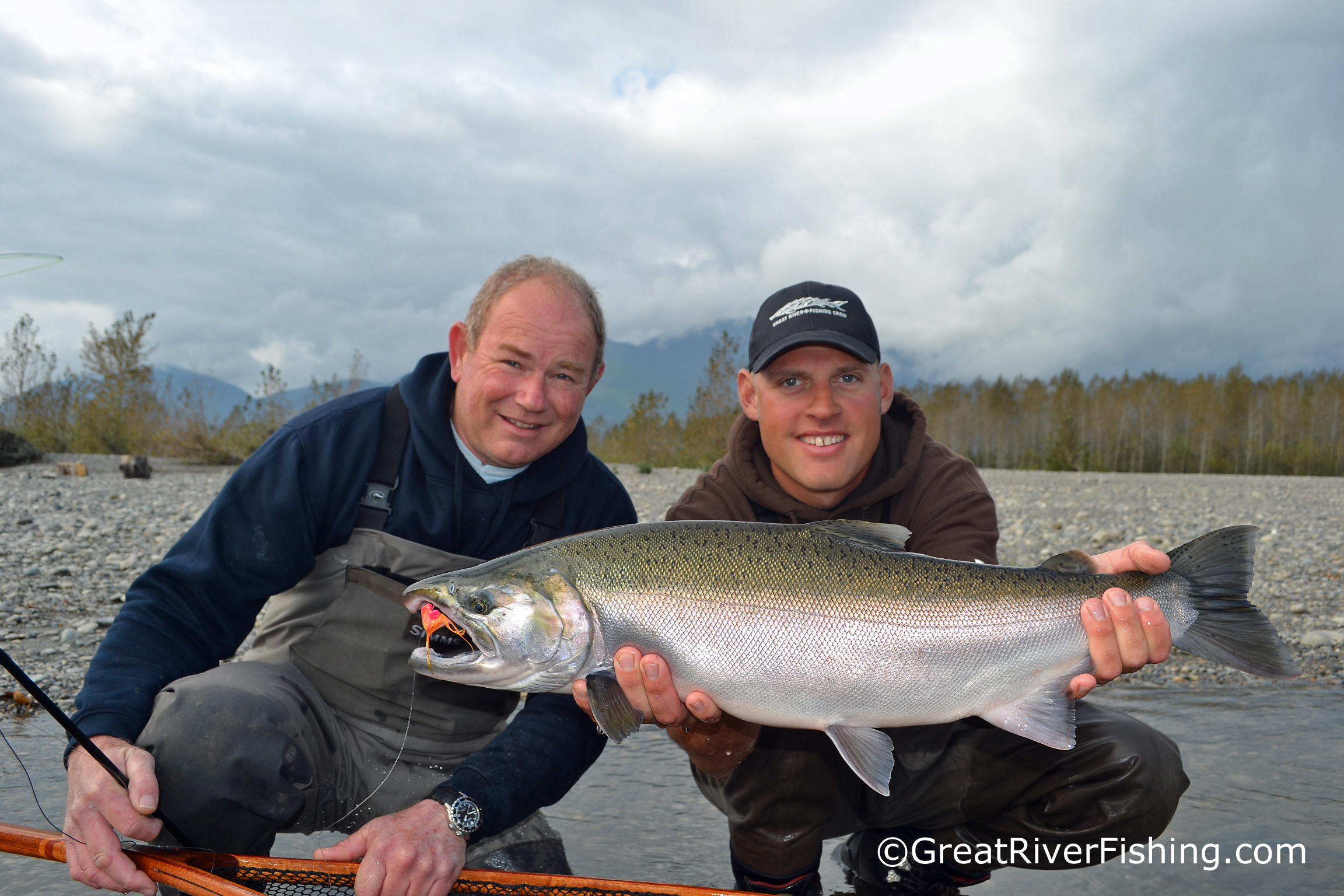 Fly-fishing coho salmon on the Fraser River